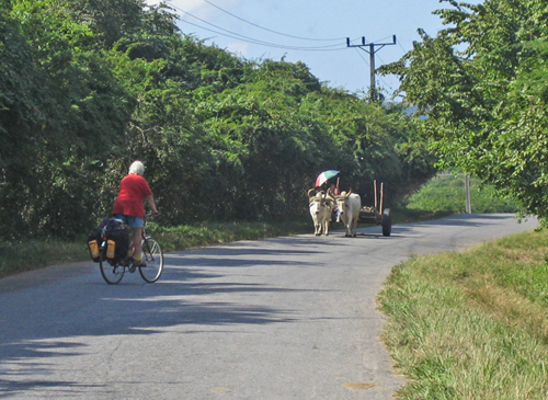 AnnOnRoad (228K)