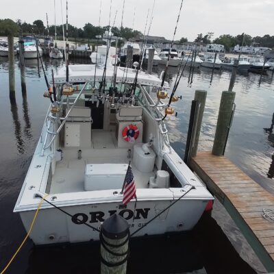 Orion