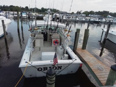 31 Whaler Orion