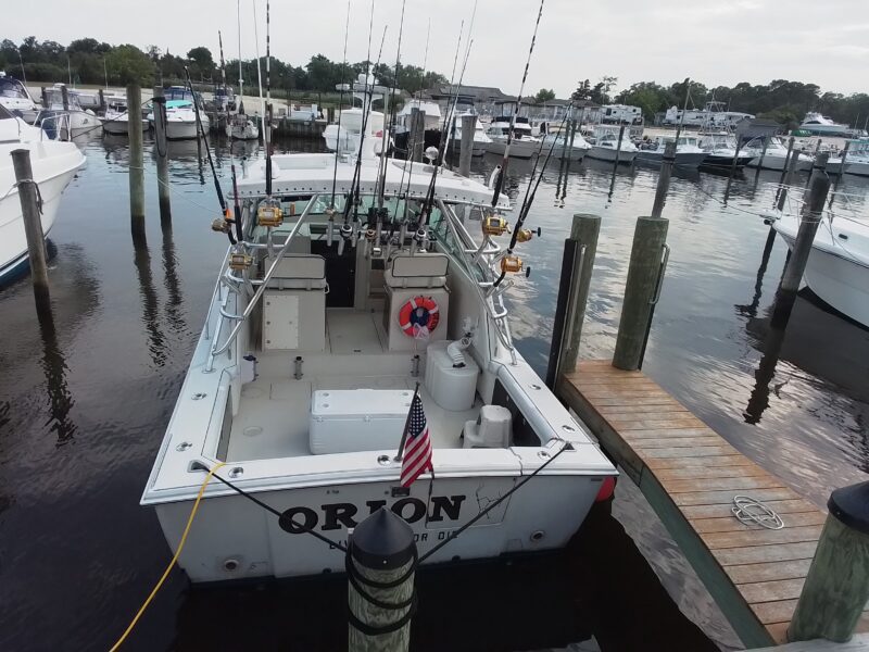 31 Whaler Orion
