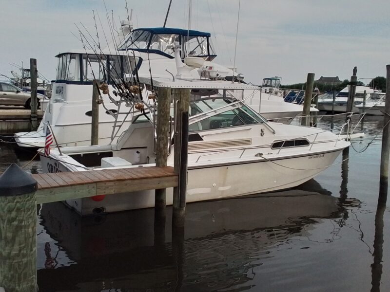 31 Whaler Orion