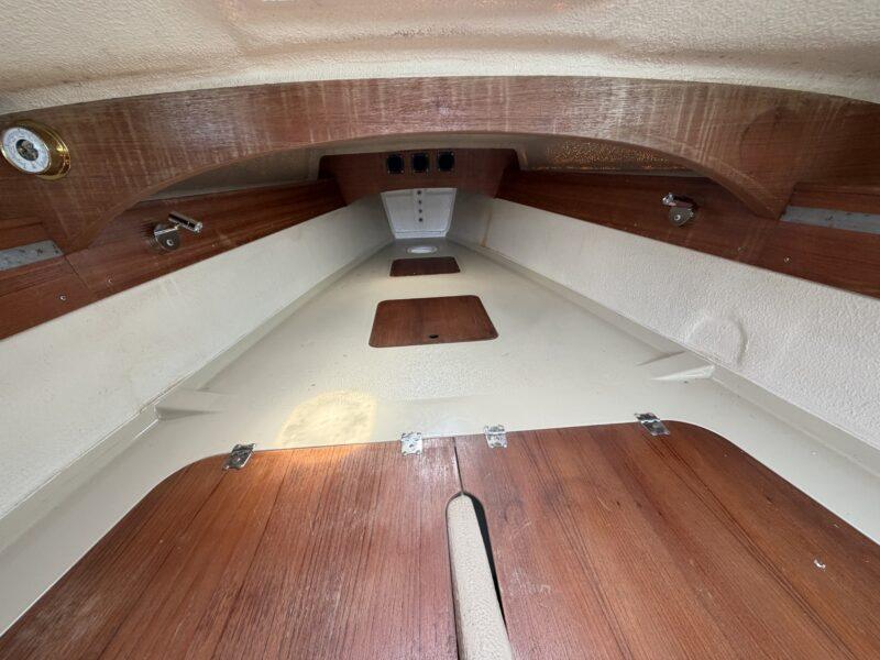 Dragonfly 800 swingwing mk3