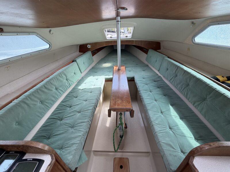 Dragonfly 800 swingwing mk3