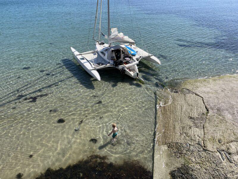Dragonfly 800 swingwing mk3