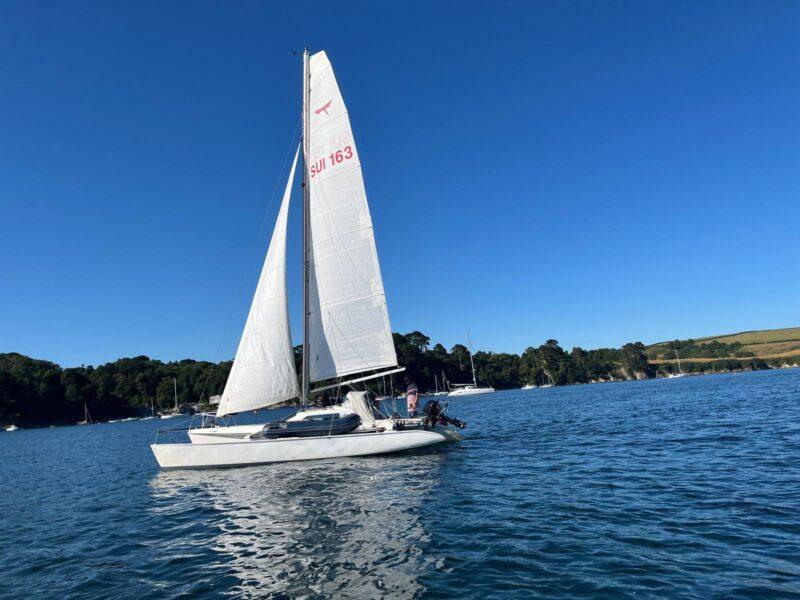 Dragonfly 800 swingwing mk3