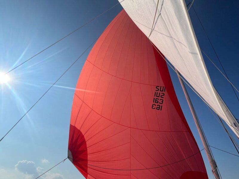 Dragonfly 800 swingwing mk3