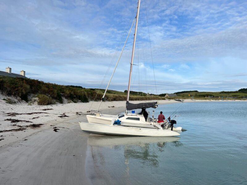 Dragonfly 800 swingwing mk3