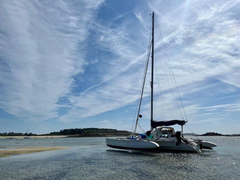 Dragonfly 800 swingwing mk3