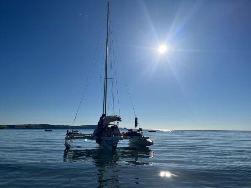 Dragonfly 800 swingwing mk3