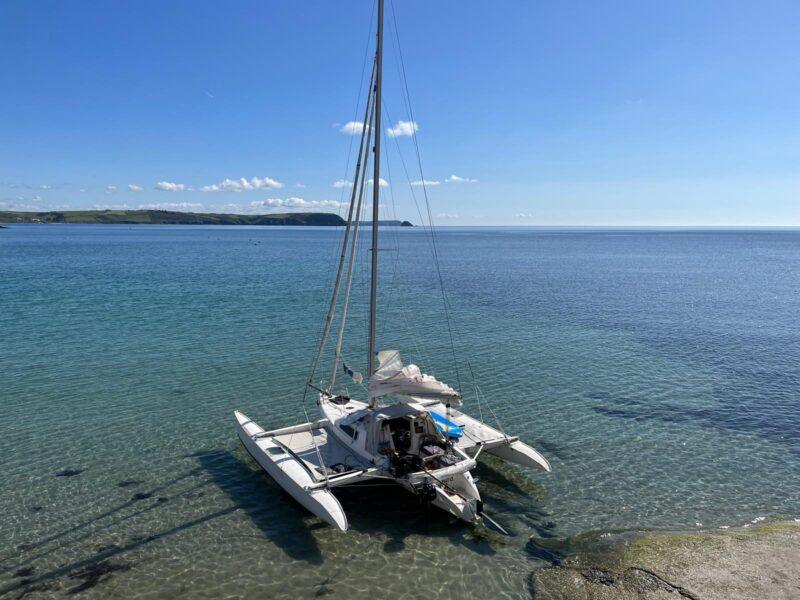 Dragonfly 800 swingwing mk3